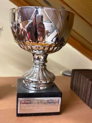Pack 20 Trofeos Escolares.