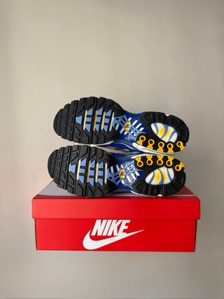 Nike Air Max Plus TN Polar Lyon Blue