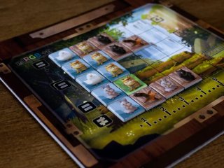 LOCO MOMO JUEGO DE MESA MALDITO GAMES FAMILIAR