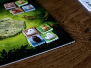 LOCO MOMO JUEGO DE MESA MALDITO GAMES FAMILIAR