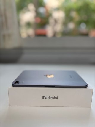 iPad Mini (A17 Pro)