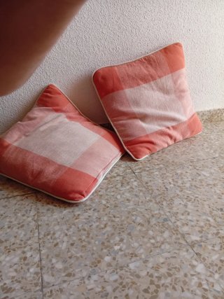 Juego de 2 cojines decorativos