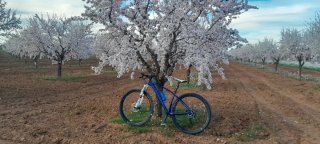 Bicicleta montaña 29"talla M