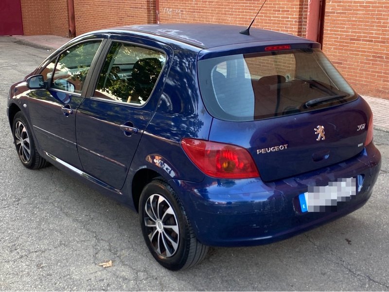 Peugeot 307 Break 2.0 HDI XR / Clim Plus 2005, foto 5