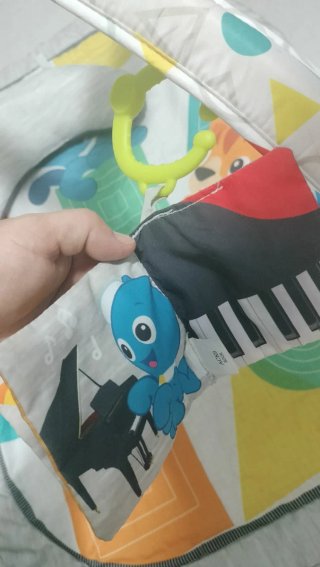 Gimnasio Bebé con Cojín y Accesorios