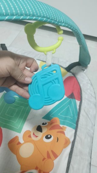 Gimnasio Bebé con Cojín y Accesorios