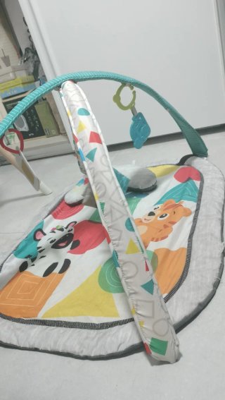 Gimnasio Bebé con Cojín y Accesorios