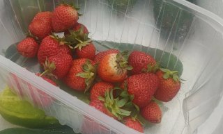 Fresas Ecológicas Frescas 500gr.