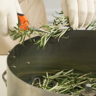 Cortadora de Hojas de Bud, Máquina Manual de Cortadora de Bud de Acero Inoxidable de 16 Pulgadas, con Cubierta de PET Transparente para Corte Visual, Incluye Tijeras de Mano, para Cortar Hojas, Br...