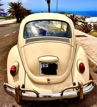 Volkswagen Beetle 1980
