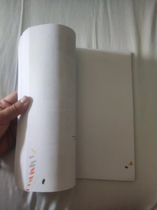 Mi primer libro de cómo dibujar Manga: Guia pra...