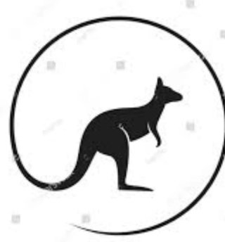 Canguro