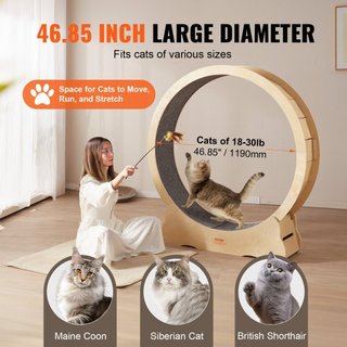 Rueda de Ejercicio para Gatos, Rueda de Cinta para Gatos Grandes para Interiores, Rueda de Correr para Gatos de 52 pulgadas con Alfombra Desmontable y Juguete para Gatos para Correr/Caminar/Entren...