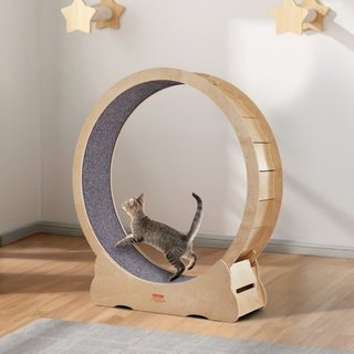 Rueda de Ejercicio para Gatos, Rueda de Cinta para Gatos Grandes para Interiores, Rueda de Correr para Gatos de 52 pulgadas con Alfombra Desmontable y Juguete para Gatos para Correr/Caminar/Entren...