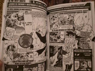 Dragon Ball forever guia manga