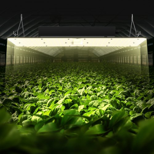 LED Grow Light, 300W Full Spectrum Dimmable, High Yield Samsung 2B1B Diodes Growing Lamp for Indoor Plants Seedling Veg and Bloom Greenhouse Growing, Daisy Chain Driver for 91.4 x 91.4 / 121.9 x 1...