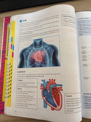 Biologia i Geologia 3, Secundària, Fanfest Baula