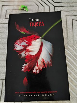 Lote 8 libros Harry Potter, Crepúsculo y CienciaF