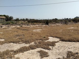 Terreno en venta en Crevillent