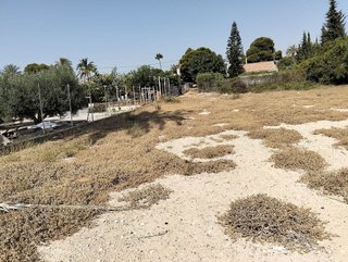 Terreno en venta en Crevillent