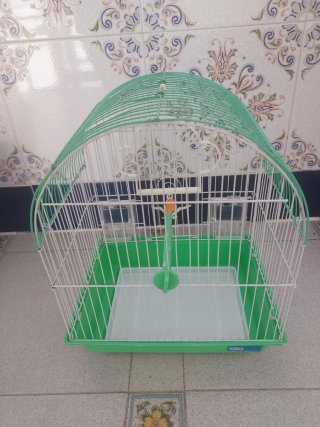 Jaula para canarios verde y blanca