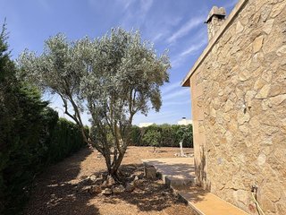 Chalet en venta en Campos