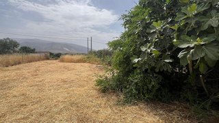 Terreno en venta en Padul