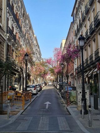 Estudio en alquiler en Justicia - Chueca en Madrid