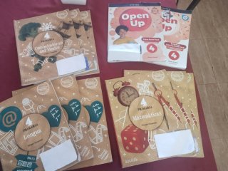 Libros de texto de 4 primaria. Anaya