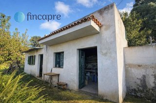 Casa rural en venta en Guancha (La)