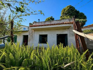 Casa rural en venta en Guancha (La)