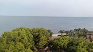 Piso en alquiler en Playa Mucha Vista en Campello (el)