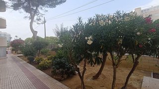 Piso en alquiler en Playa Mucha Vista en Campello (el)