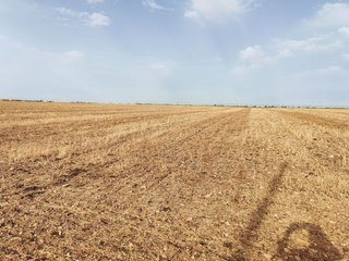 Terreno en venta en Villarta de San Juan