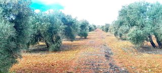 Terreno en venta en Centro en Valdepeñas