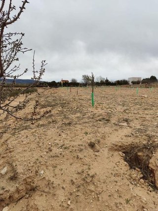 Terreno en venta en Cabanes y Las Fuentes en Villena
