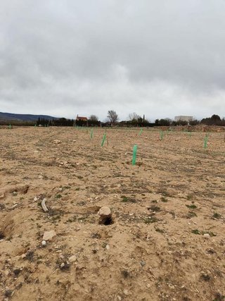 Terreno en venta en Cabanes y Las Fuentes en Villena