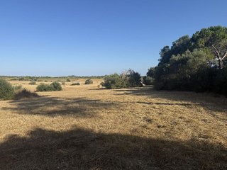 Terreno en venta en Manacor Centro en Manacor