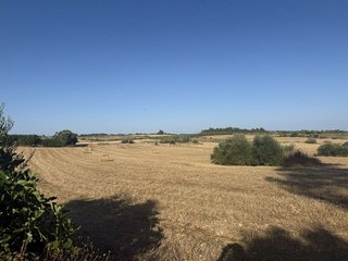 Terreno en venta en Manacor Centro en Manacor