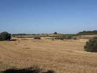 Terreno en venta en Manacor Centro en Manacor
