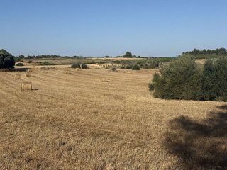 Terreno en venta en Manacor Centro en Manacor