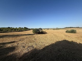 Terreno en venta en Manacor Centro en Manacor