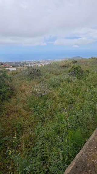Terreno en venta en Arafo