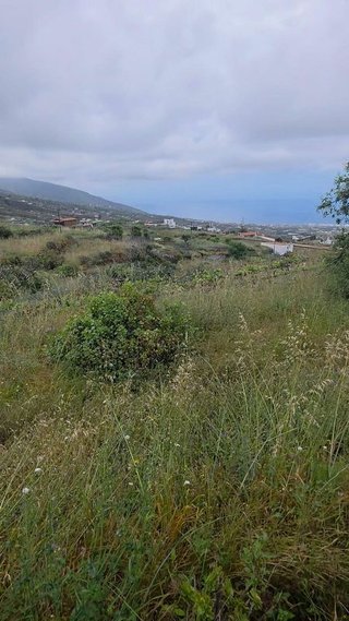 Terreno en venta en Arafo