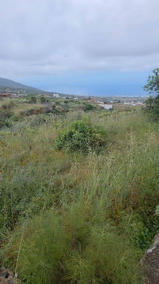 Terreno en venta en Arafo