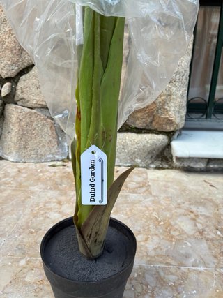 Planta Artificial Decorativa 110cm