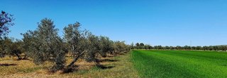 Terreno en venta en Centro en Valdepeñas