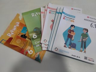 Lote de libros de sexto de primaria. Buen estado.