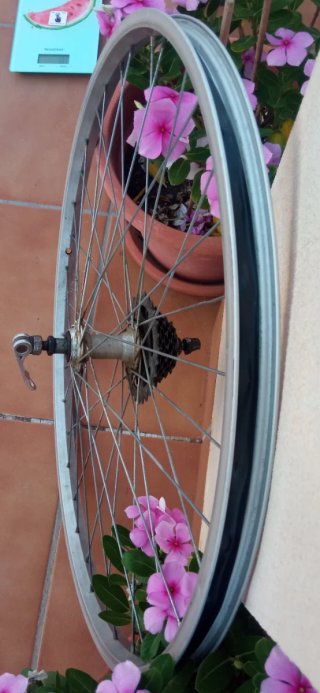 Llanta trasera bicicleta con piñonera
