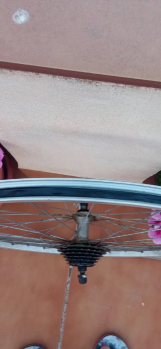 Llanta trasera bicicleta con piñonera